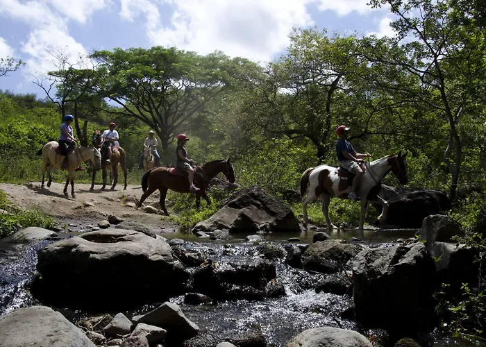 Borinquen Thermal